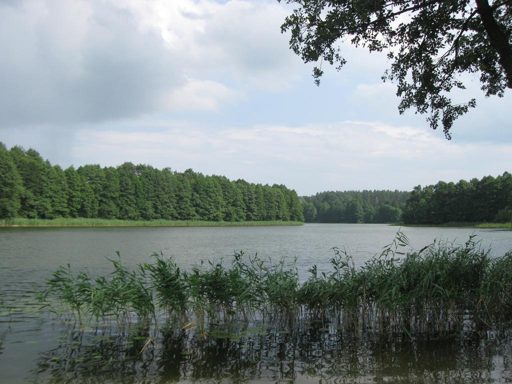 Mikołajki Mleczarnia Z Prywatnym Jacuzzi 빌라 외부 사진